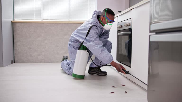 Best Pest Exclusion Services  in Burns Flat, OK